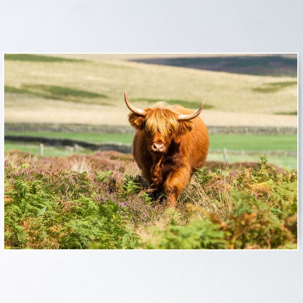 Highland Cow Straw Topper Cattle Ranch Fits Stanley 