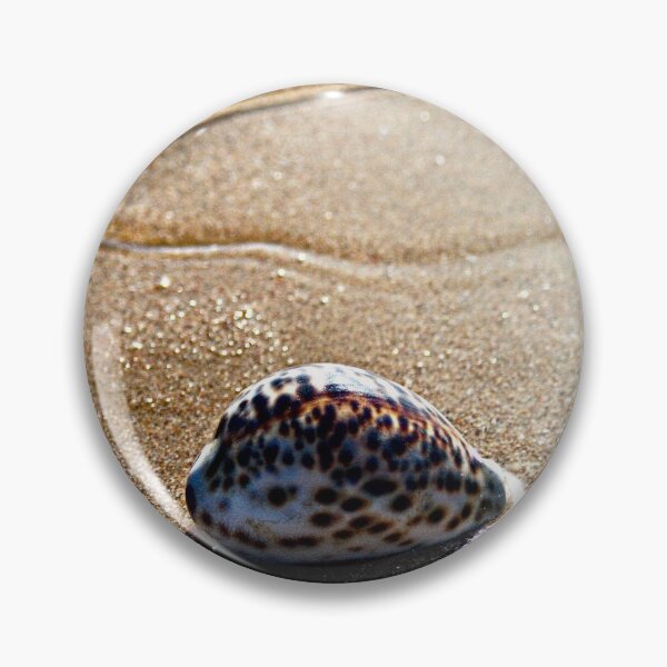 Item preview, Spotted Tiger Cowrie Shell Seashore Wet Sand designed and sold by worldways.