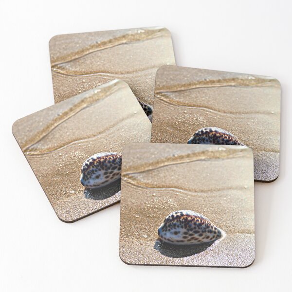 Item preview, Spotted Tiger Cowrie Shell Seashore Wet Sand designed and sold by worldways.