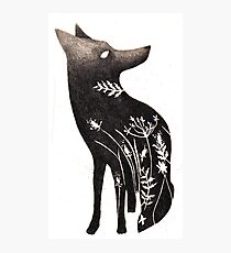 Lone Wolf Photographic Print