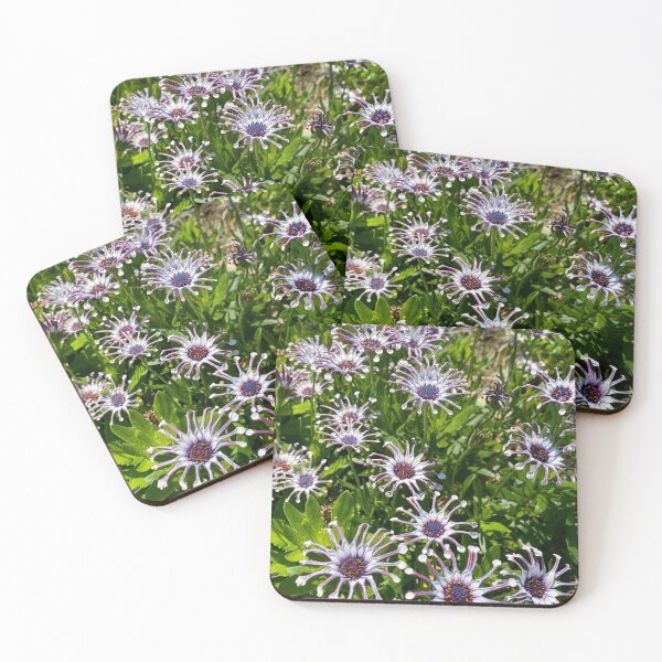 Item preview, purple/white flowers at botanical gardens (Virginia Beach) designed and sold by Braxton Tanaka.