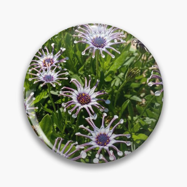 Artikelvorschau, lila / weiße Blumen im Botanischen Garten (Virginia Beach) entworfen und verkauft von Braxton Tanaka.