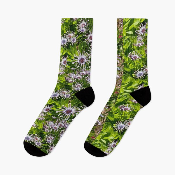 Item preview, purple/white flowers at botanical gardens (Virginia Beach) designed and sold by Braxton Tanaka.