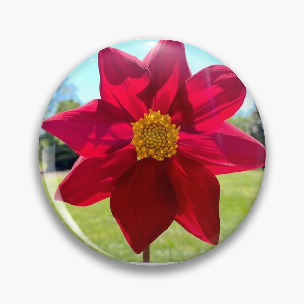 Artikelvorschau, Rote Blume im Botanischen Garten (Virginia Beach) entworfen und verkauft von Braxton Tanaka.