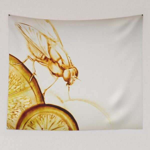 Item preview, Fruit Fly designed and sold by sandexperiment.