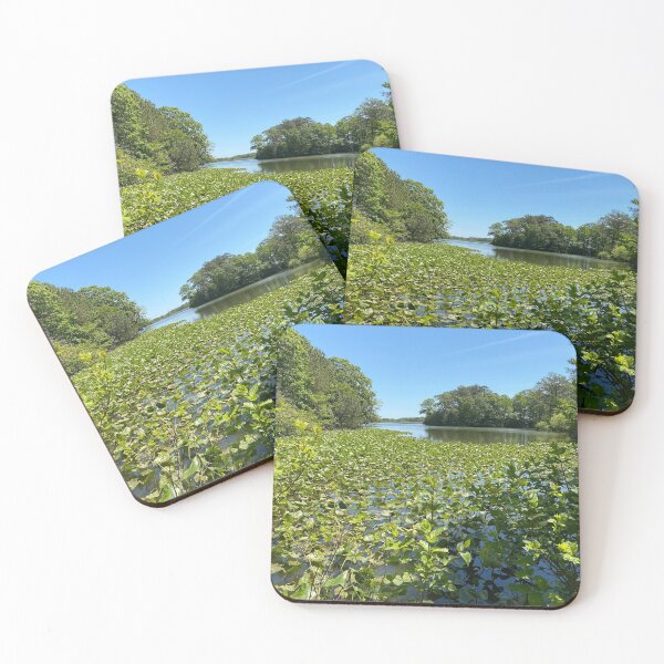 Item preview, lily pads virginia beach designed and sold by Braxton Tanaka.