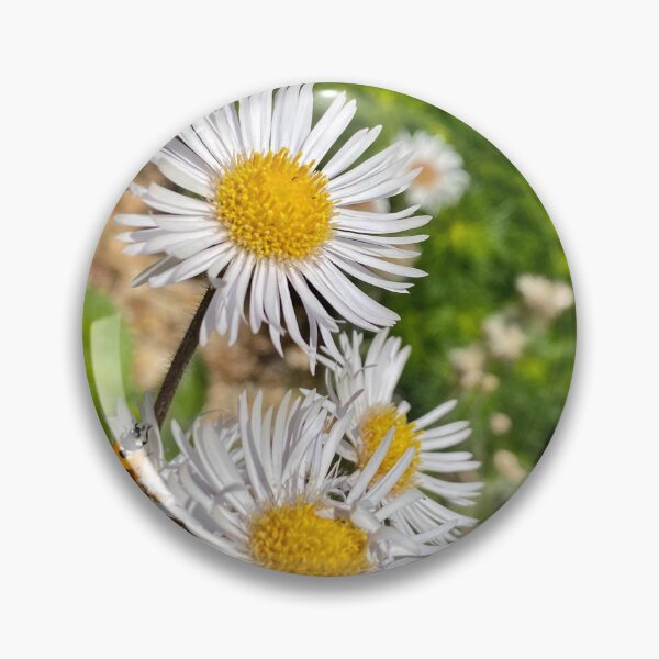 Artikelvorschau, weiße Blume mit Marienkäfer (Botanischer Garten Virginia Beach) entworfen und verkauft von Braxton Tanaka.
