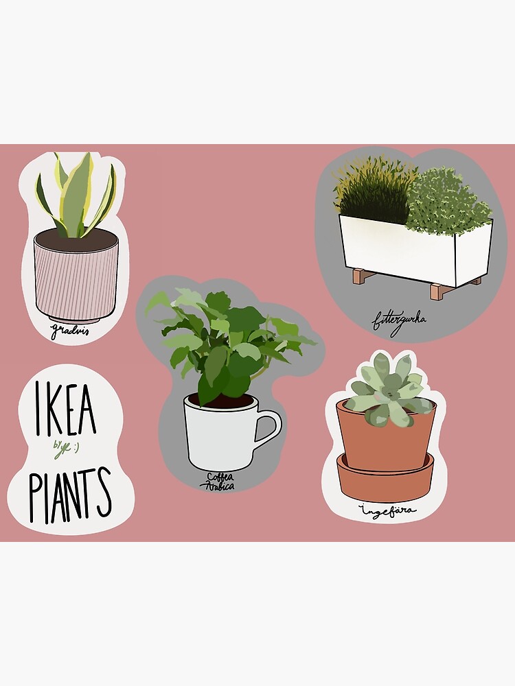 "IKEA plants" Poster for Sale by raevanren Redbubble