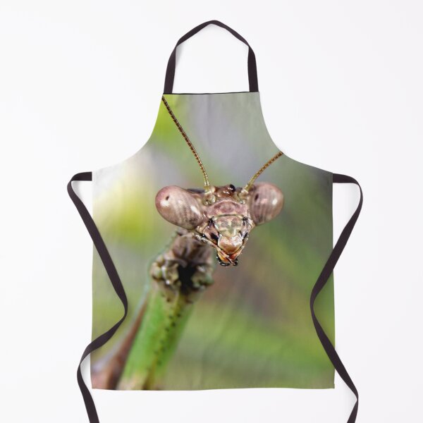 Item preview, Carolina Mantis Face designed and sold by mark-bugs-org.