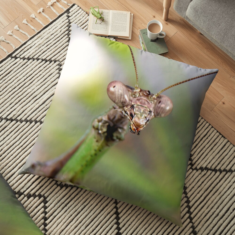 Carolina Mantis Face Floor Pillow