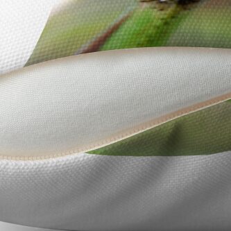 Alternate view of Carolina Mantis Face Floor Pillow