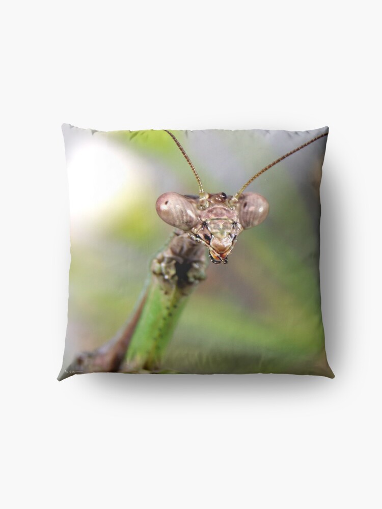Alternate view of Carolina Mantis Face Floor Pillow