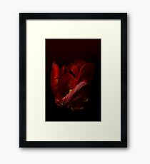 The Red Tulip Framed Print