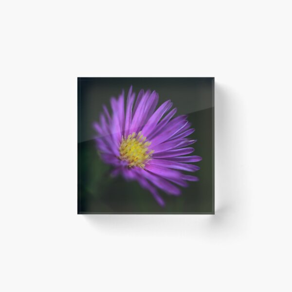 Item preview, Purple Aster designed and sold by StampCity.