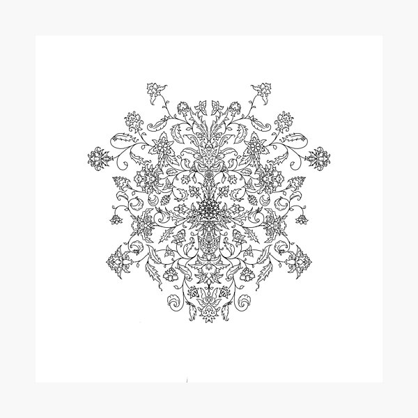 Shield Pattern Photographic Print