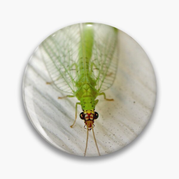 Item preview, Cara de encaje verde designed and sold by mark-bugs-org.