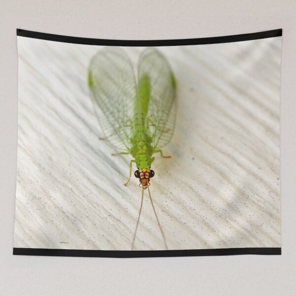 Item preview, Green Lacewing Face designed and sold by mark-bugs-org.