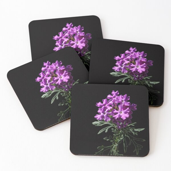 Item preview, Latin American Mock Vervain designed and sold by Robyn Scully.