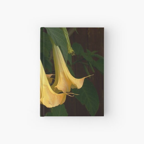 Brugmansia Blossoms Hardcover Journal