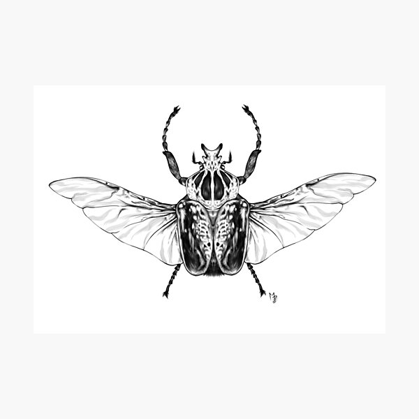Item preview, Golithus Regius designed and sold by FeedMeINKK.
