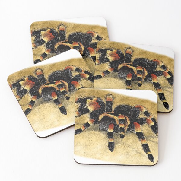 Item preview, Mexican Red Kneed Tarantula designed and sold by ScienceSource.