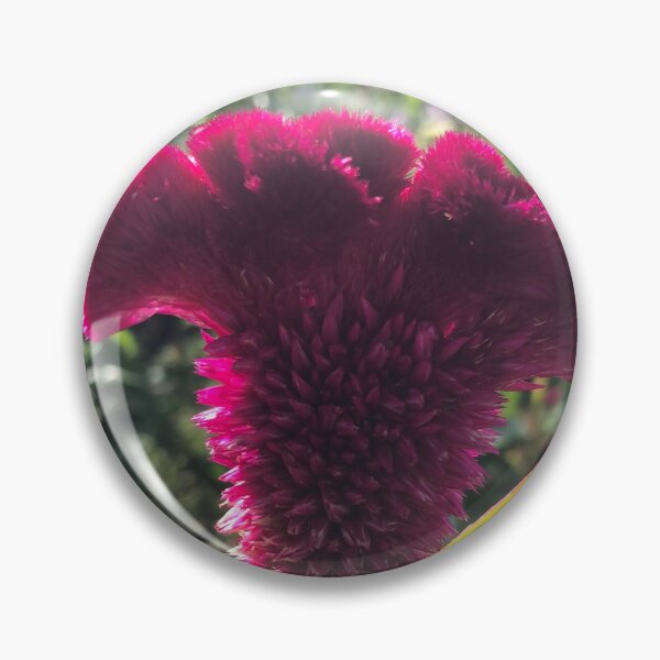 Item preview, Cockscomb Celosia Britannica Plant  designed and sold by Kaushal Pal.