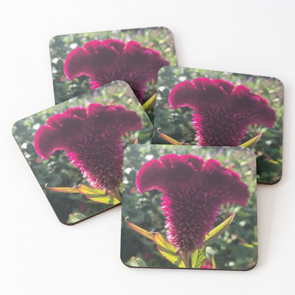 Item preview, Cockscomb Celosia Britannica Plant  designed and sold by Kaushal Pal.