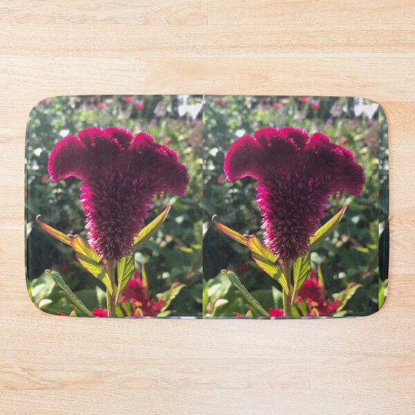 Item preview, Cockscomb Celosia Britannica Plant  designed and sold by Kaushal Pal.