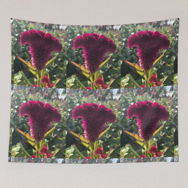 Item preview, Cockscomb Celosia Britannica Plant  designed and sold by Kaushal Pal.