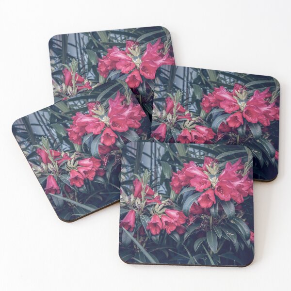 Item preview, Wow What Are Those Flowers? designed and sold by Steven Jodoin.