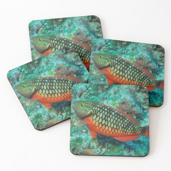 Item preview, fish 10 designed and sold by AlfordsStore.