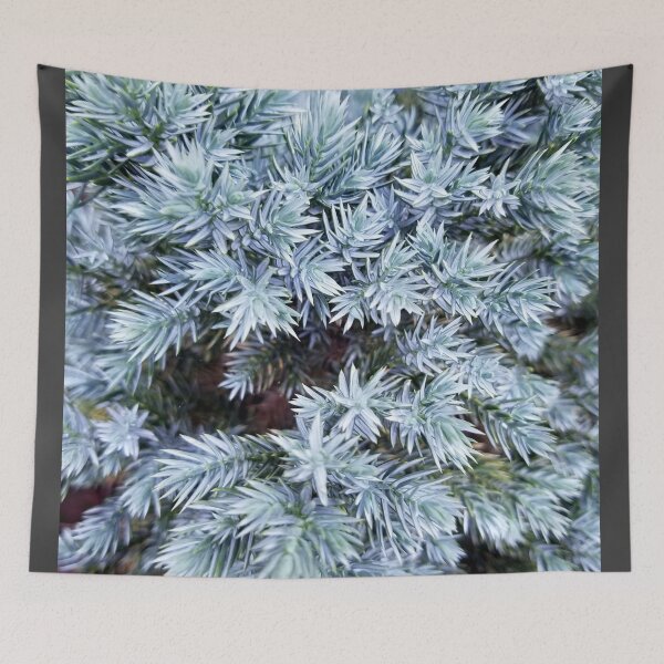Item preview, Blue Juniper  designed and sold by MooseDogPhotos.