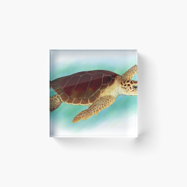 Item preview, Loggerhead Sea Turtle designed and sold by ScienceSource.