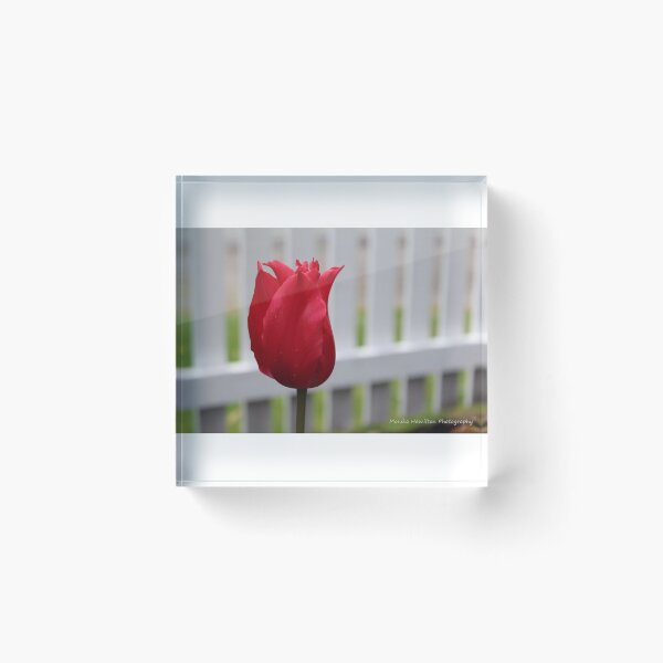 Item preview, Tulip designed and sold by Monika Hamilton.
