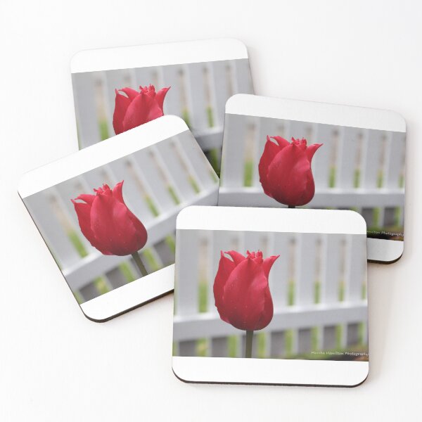 Item preview, Tulip designed and sold by Monika Hamilton.