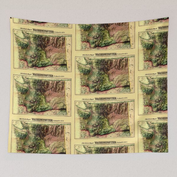 Item preview, 1878 Washington Relief Map digitally-rendered designed and sold by ThinkAboutMaps.