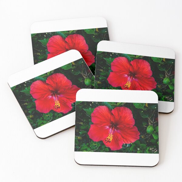Artikelvorschau, Roter Hibiskus entworfen und verkauft von Darlene Cameron.