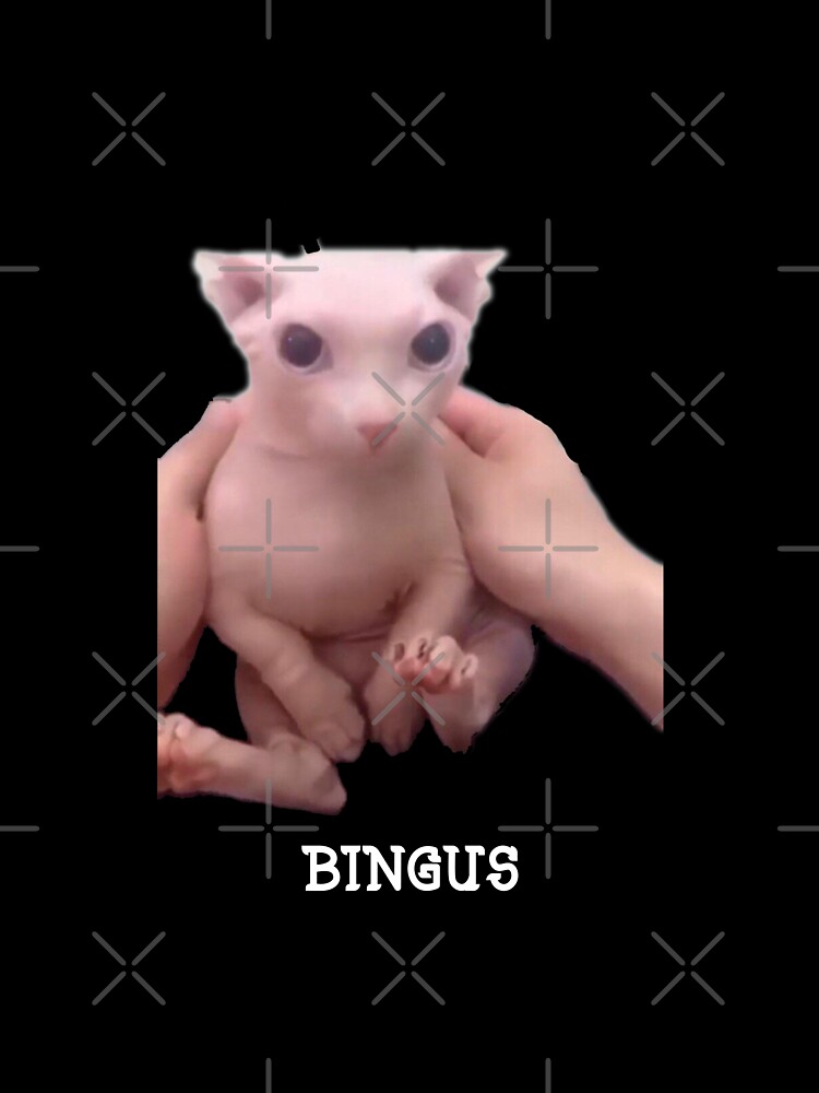 Bingus  Poster for Sale by megaboom  Redbubble