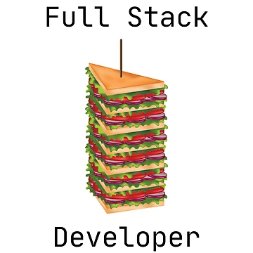 Artwork thumbnail, Full Stack Developer by KammilDesigns