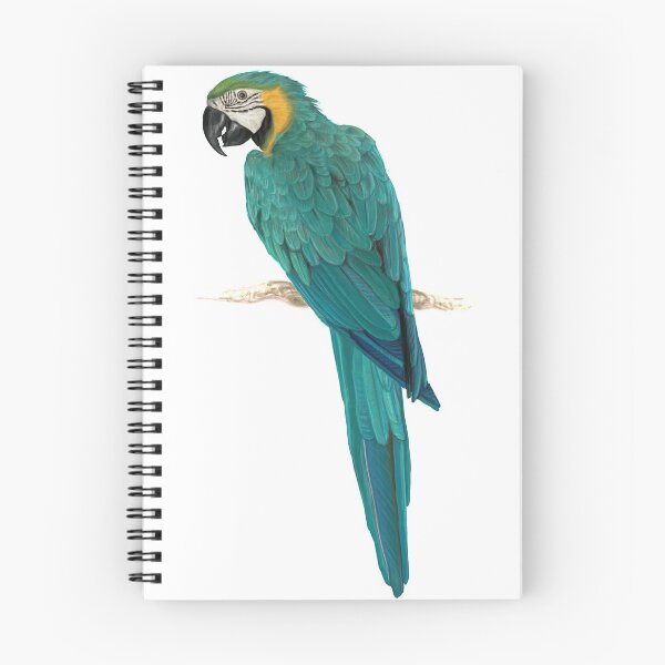Item preview, Blue Macaw designed and sold by inkwear.