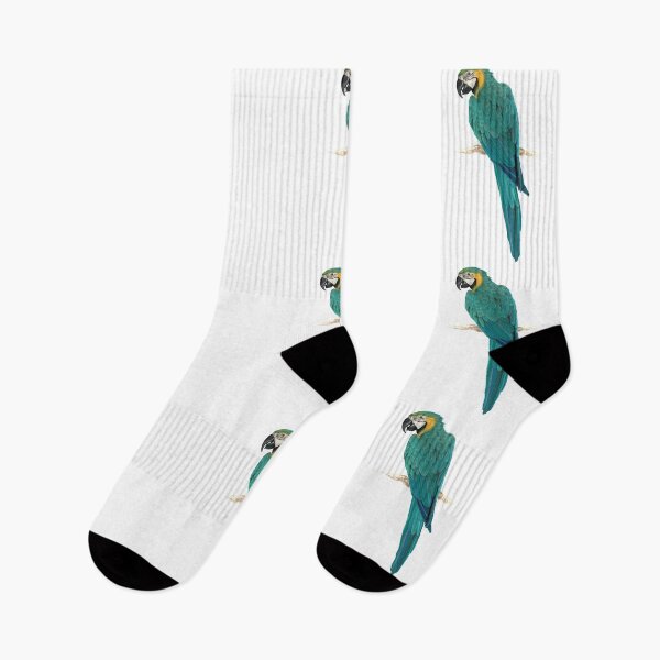 Item preview, Blue Macaw designed and sold by inkwear.