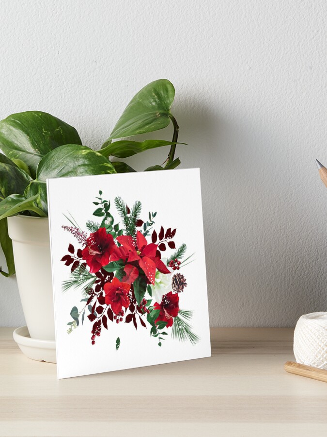 Lámina rígida «Ramo de vector floral de feliz Navidad. Amarilis roja y  blanca, flor de pascua» de lavendertime | Redbubble