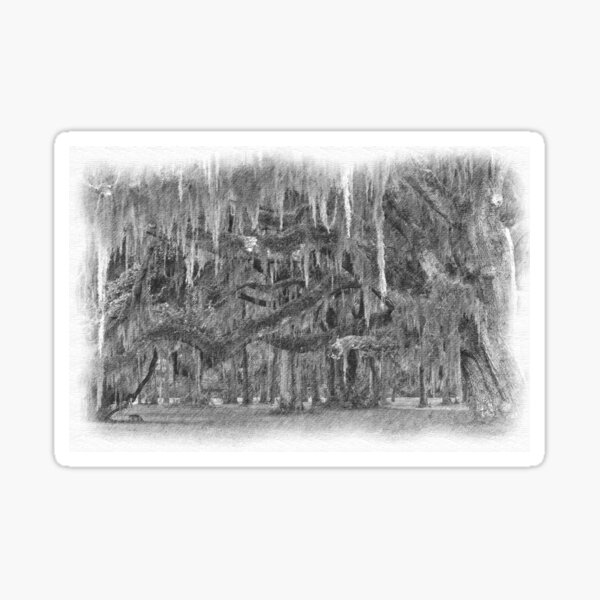 Item preview, pencil drawing of moss covered live oak trees designed and sold by A.R. Williams.