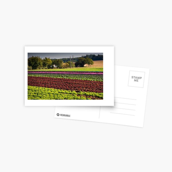Part of your 5 a day Postcard
