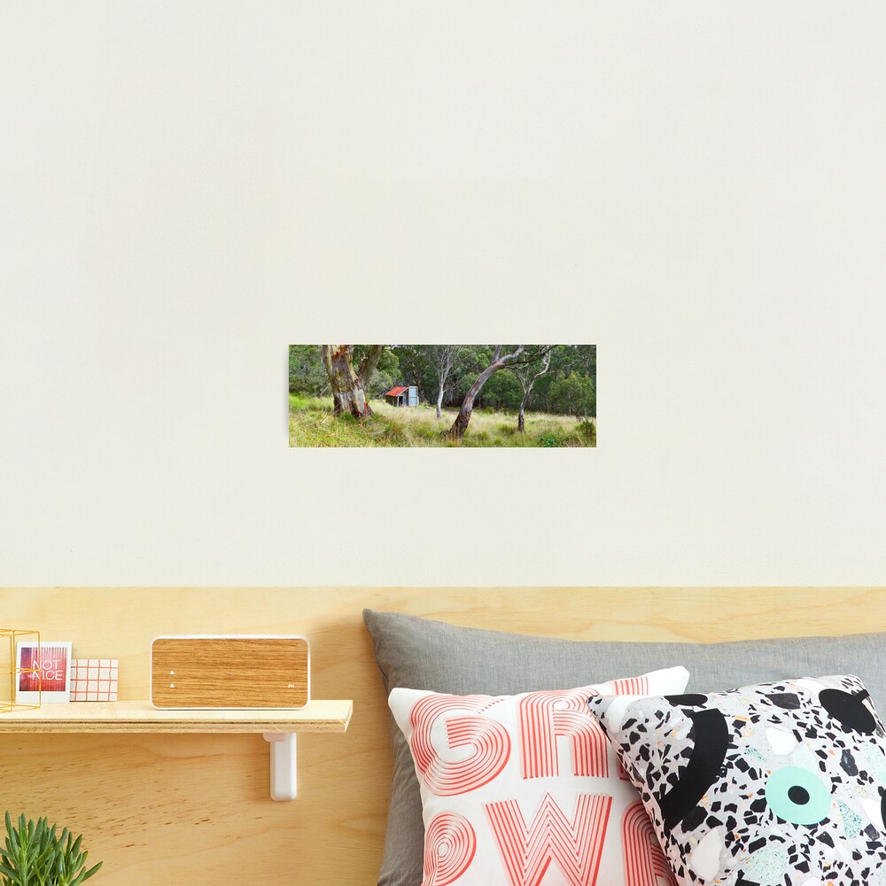 Millers Hut, Alpine National Park, Victoria, Australia Photographic Print