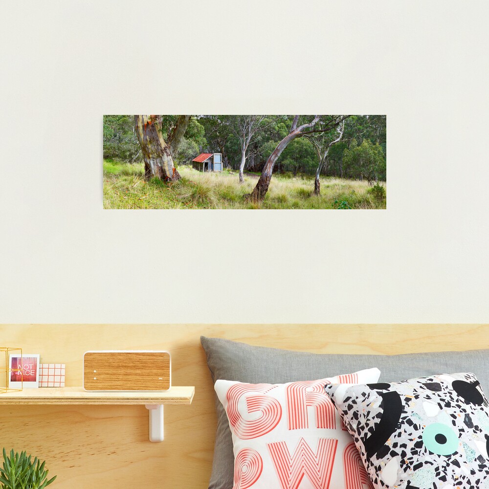 Millers Hut, Alpine National Park, Victoria, Australia Photographic Print