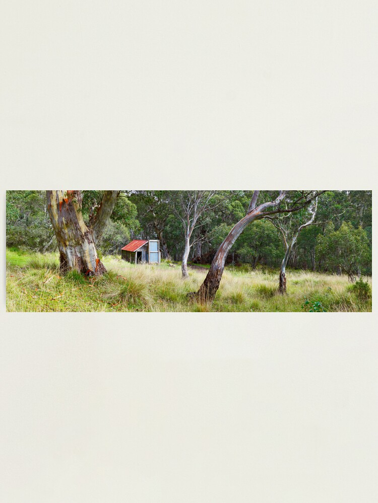 Alternate view of Millers Hut, Alpine National Park, Victoria, Australia Photographic Print
