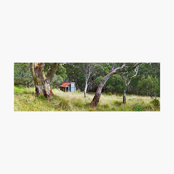 Photographic Print