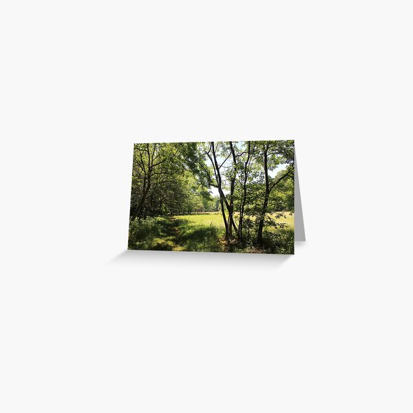 Woodland Greeting Card