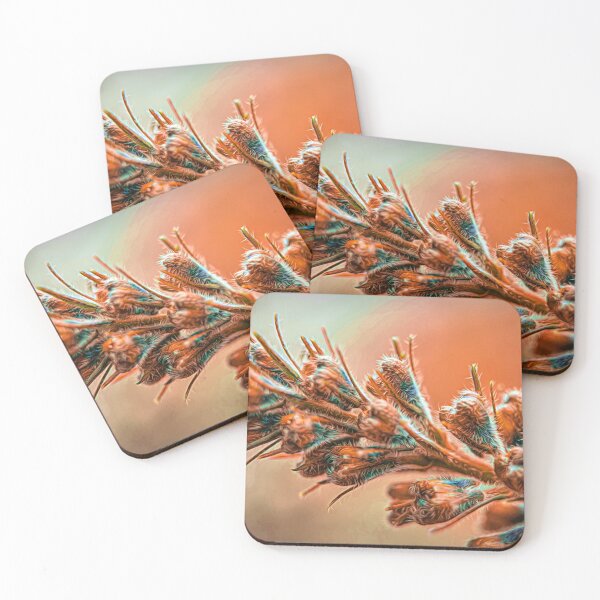 Item preview, Abstract plant designed and sold by CanadianWild418.
